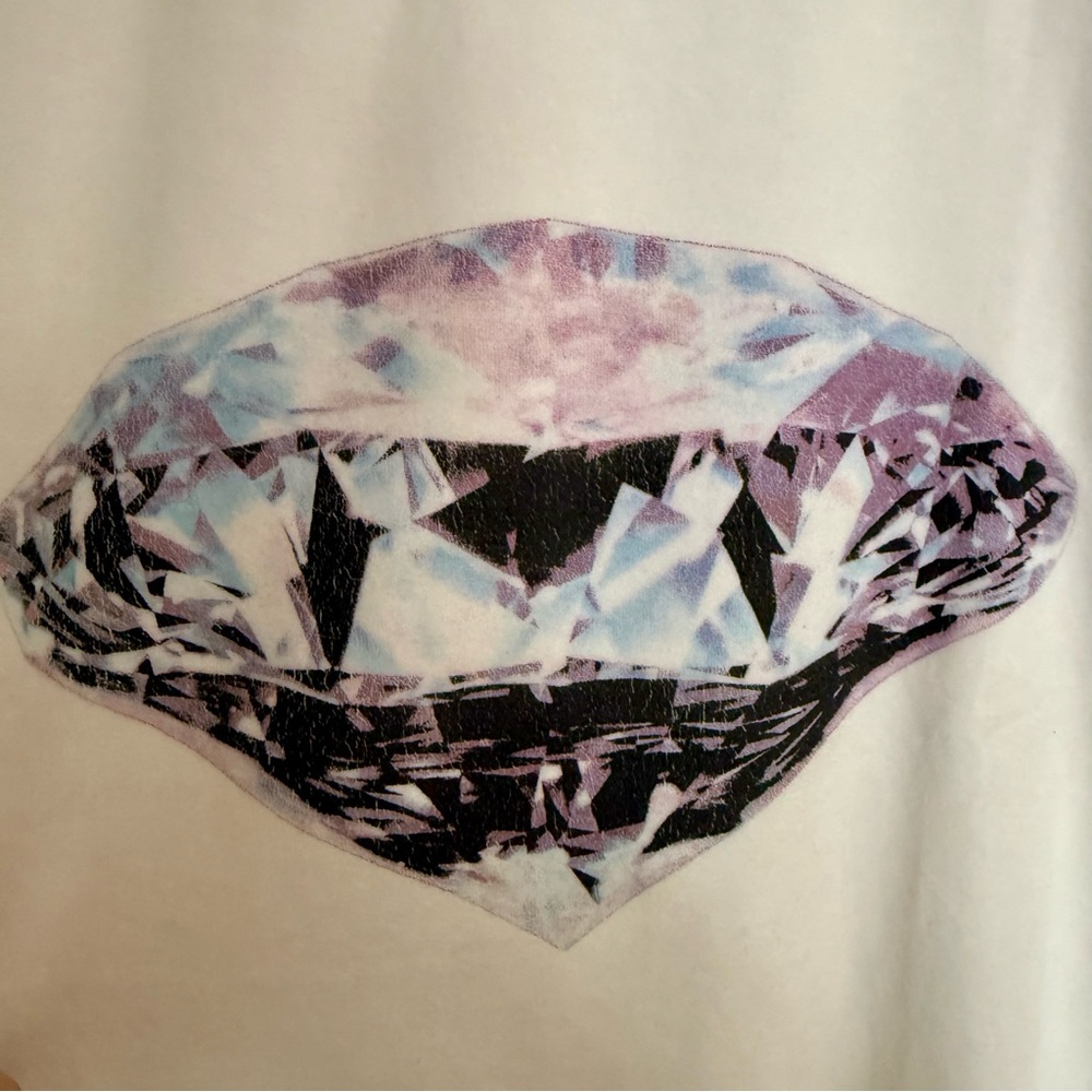 Wildfox White Label Velvet Diamond Graphic Sweater - Picture 6 of 6